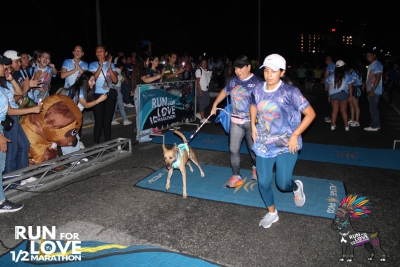 Run for Love 2024